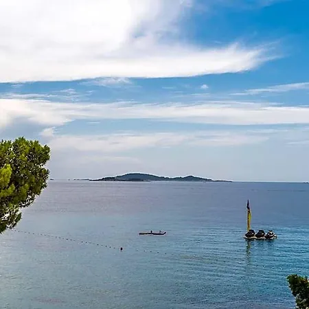 Palma Mlini