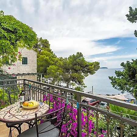 Konukevi Palma 4*